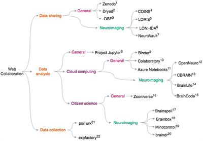 From the Wet Lab to the Web Lab: A Paradigm Shift in Brain Imaging Research